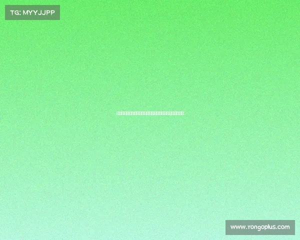 马赛城市风貌与历史文化探寻之旅：从古港口到现代艺术之都