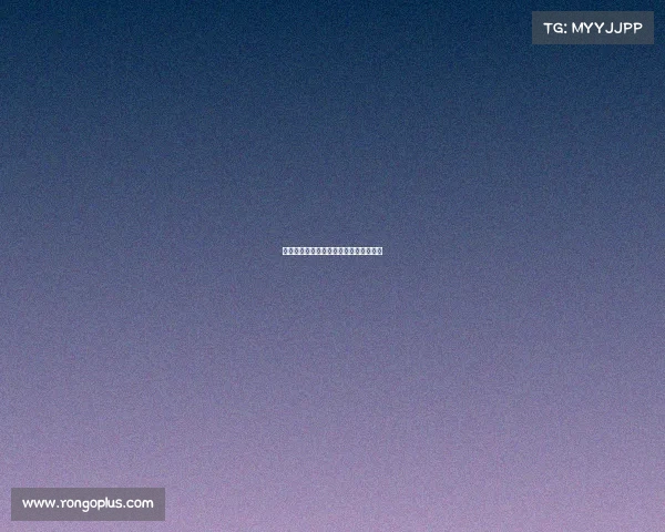 网球赛志愿者：热情服务与精彩赛事共舞